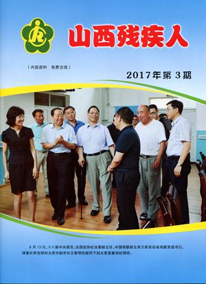 2017�������