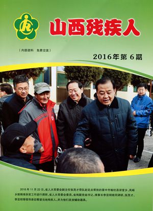 2016�������